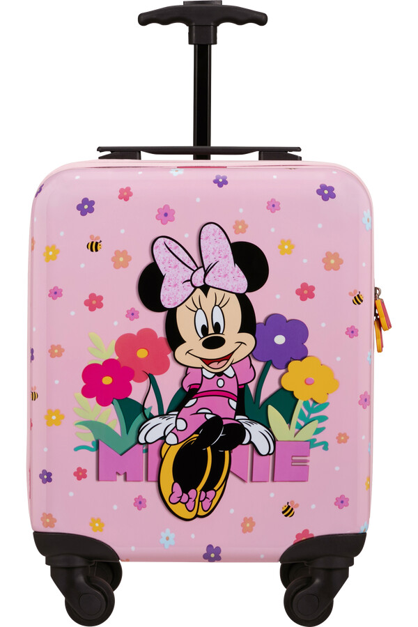 conjunto minnie 2