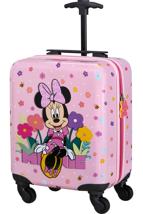 conjunto minnie 2